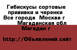 Гибискусы сортовые, прививки и черенки - Все города, Москва г.  »    . Магаданская обл.,Магадан г.